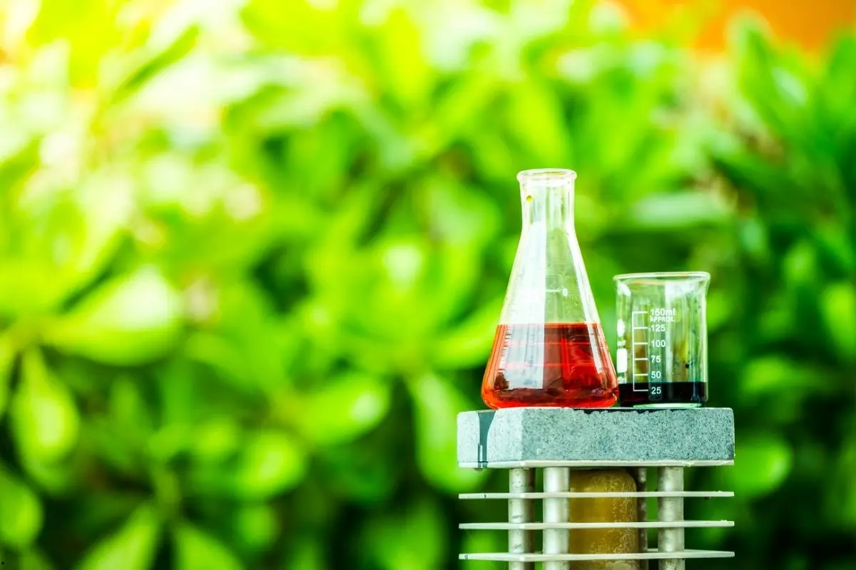 Quand commencer et quand arrêter la fertilisation ?