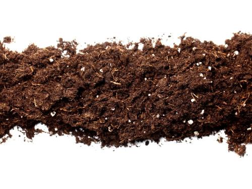 Грунт из супермаркета vs. специализированные смеси – что выбрать?