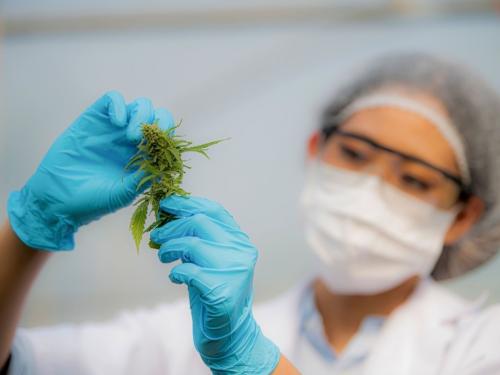 Cómo cuidar tu salud cuando trabajas en un cultivo