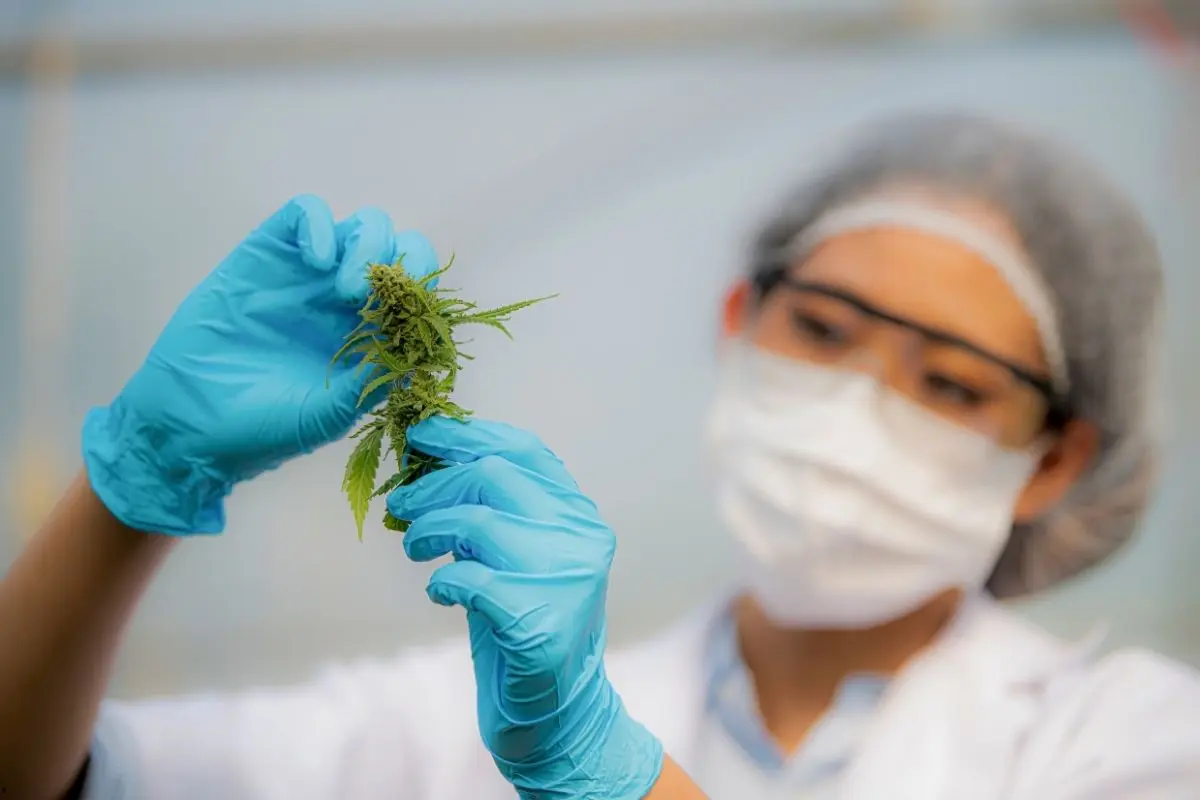 Comment prendre soin de ta santé quand tu bosses sur une culture