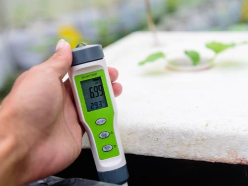 pH в индоре: почему «идеальные 6,5» могут убить урожай (и когда колебания pH — это нормально)