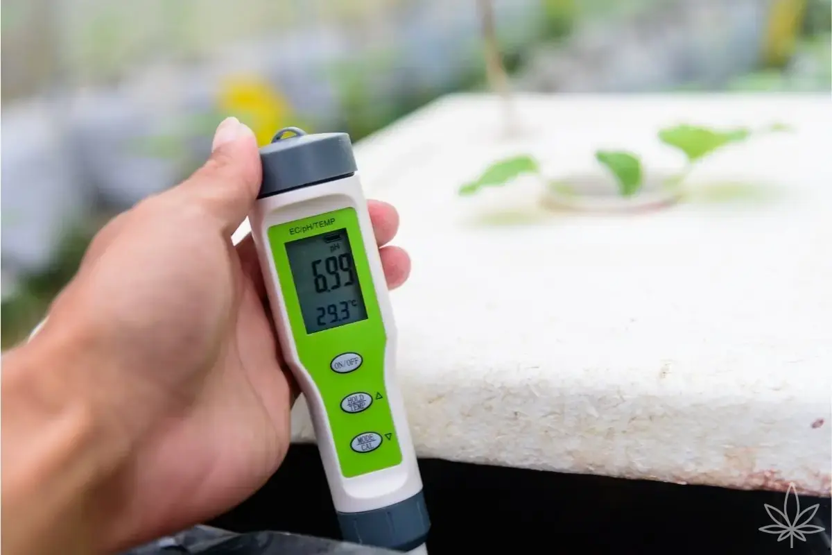 pH в индоре: почему «идеальные 6,5» могут убить урожай (и когда колебания pH — это нормально)