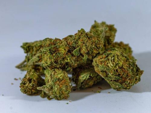 Optimisation des rendements : comment augmenter la récolte et révéler toute la qualité des buds
