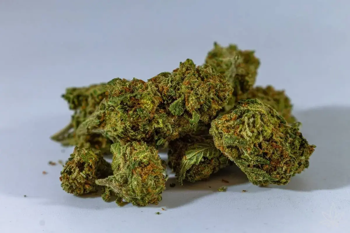Optimisation des rendements : comment augmenter la récolte et révéler toute la qualité des buds