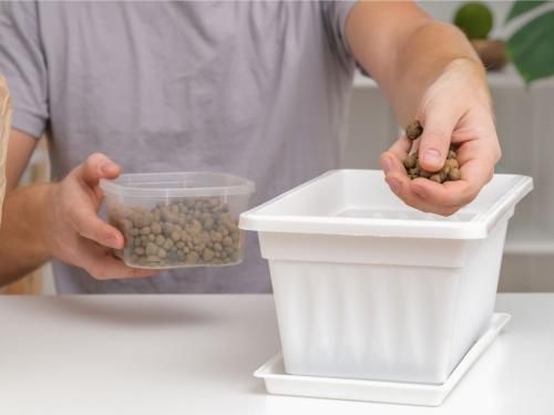 Hydroponic Substrates – Which Should You Choose?