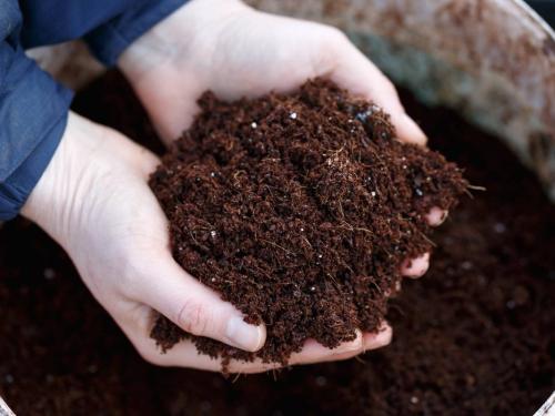 Super Soil vs. Coco Coir — A Comparison of Growing Methods
