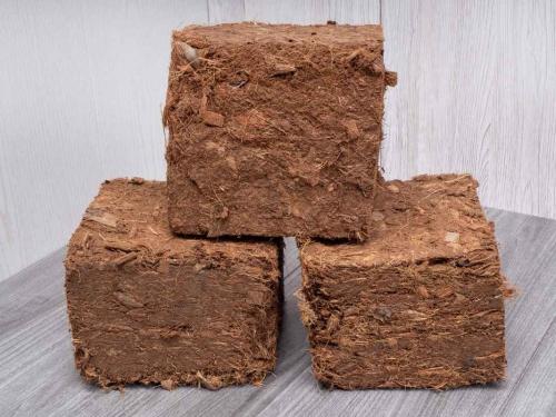 Кокос для новичков — pH 5,5–6,5, сколько Cal-Mag, как часто поливать под LED