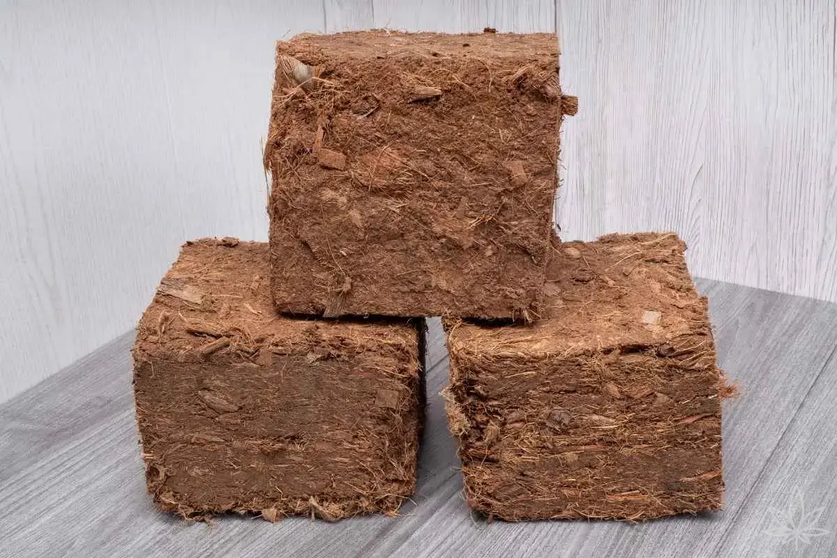 Coco pour débutants — pH 5,5–6,5, combien de Cal-Mag, à quelle fréquence arroser sous LED