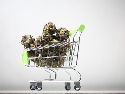 Rendement par 1 m² : c’est quoi, vraiment, « beaucoup » en indoor ?