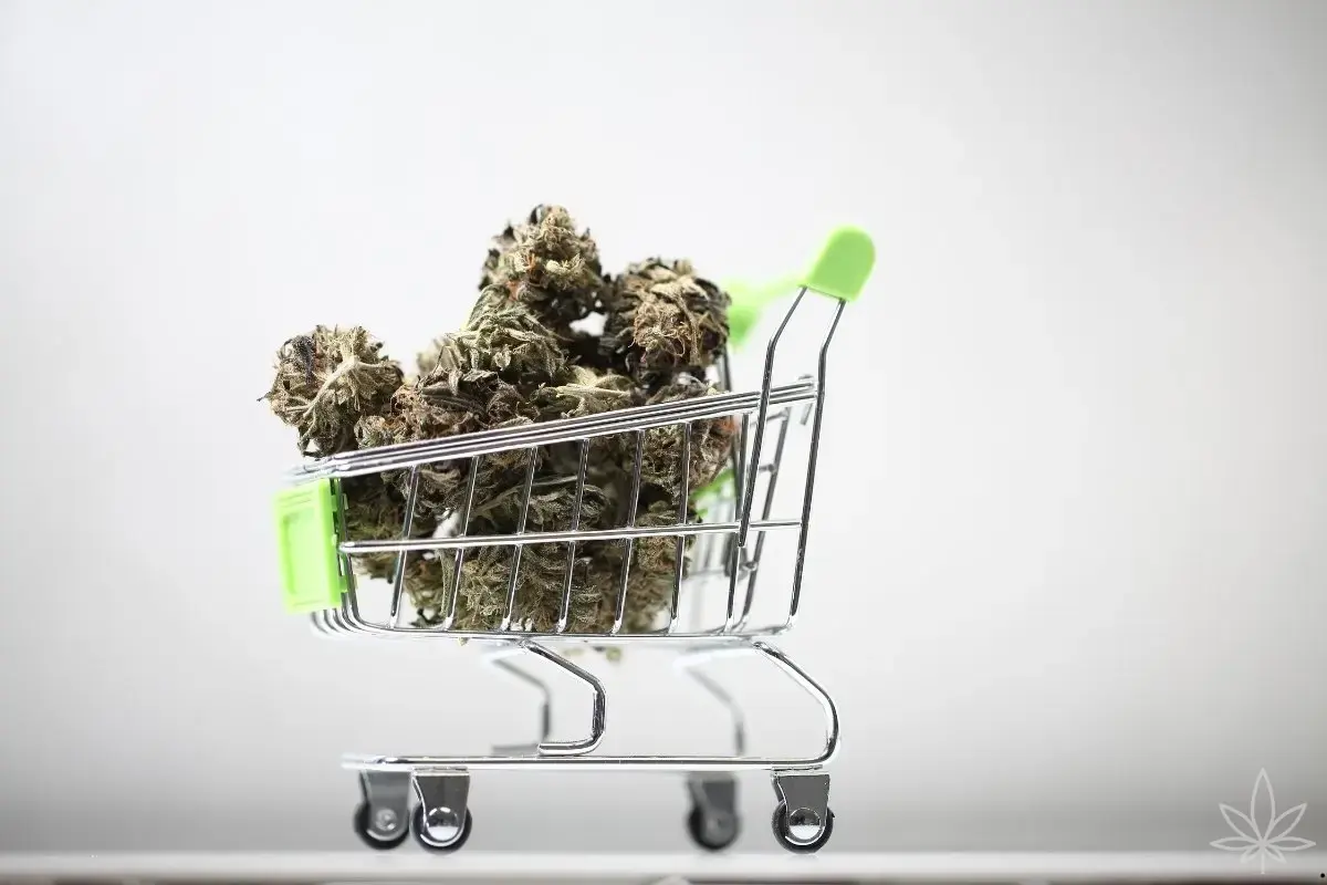 Rendement par 1 m² : c’est quoi, vraiment, « beaucoup » en indoor ?