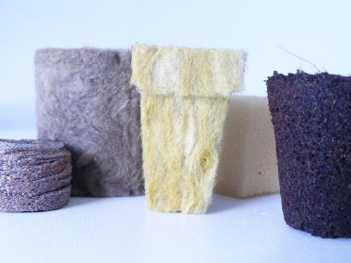 I migliori substrati per il radicamento delle talee di cannabis: una panoramica pratica