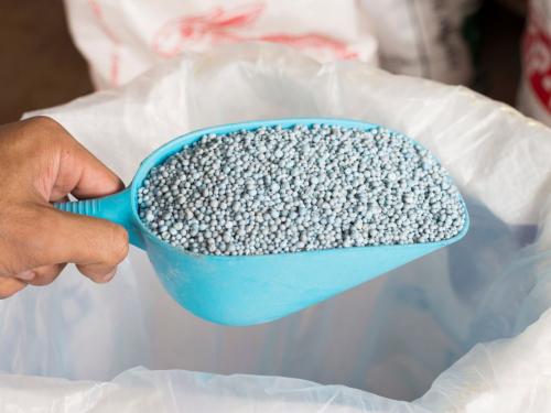 Перлит, керамзит, пемза или вермикулит? Как выбрать добавки и понять их влияние на субстрат