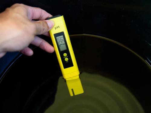 pH and EC in Hydroponics – How to Control Them and Why They Are the Key to Success