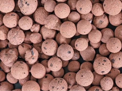 Как выбрать подходящий субстрат для гидропоники? Минеральная вата, керамзит, кокос и другие варианты