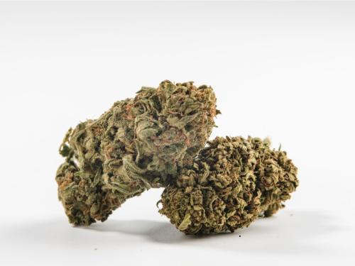 Fast-Growing and High-Yield Cannabis Strains – Complete Indoor Grower’s Guide